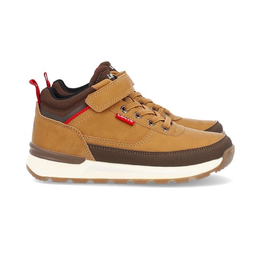 Bota