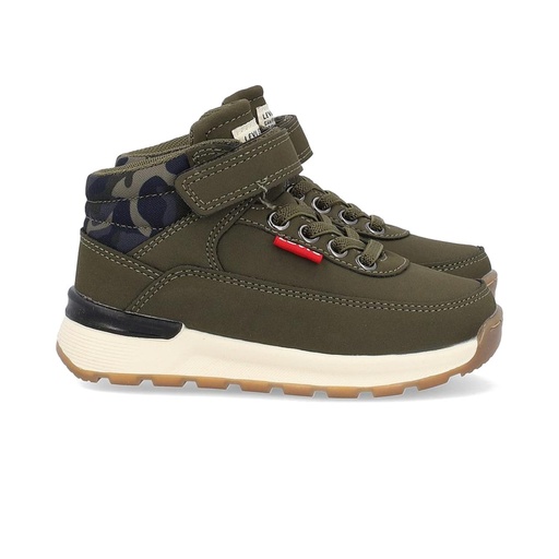 Bota