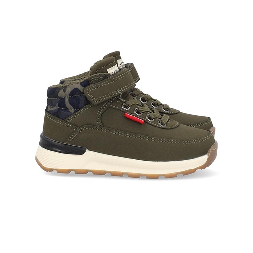 Bota