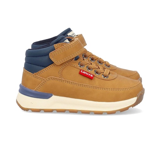 Bota