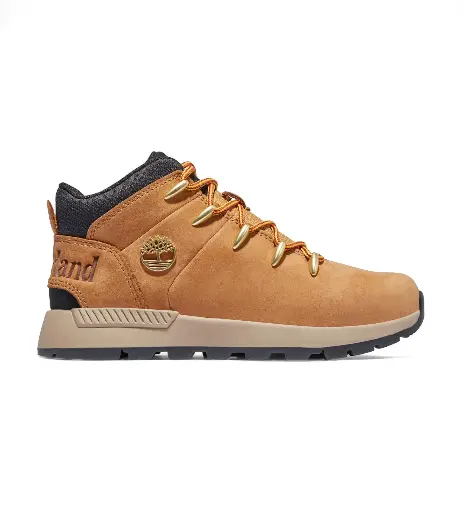 Zapatilla