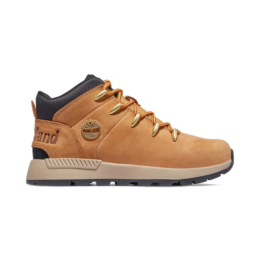 Zapatilla