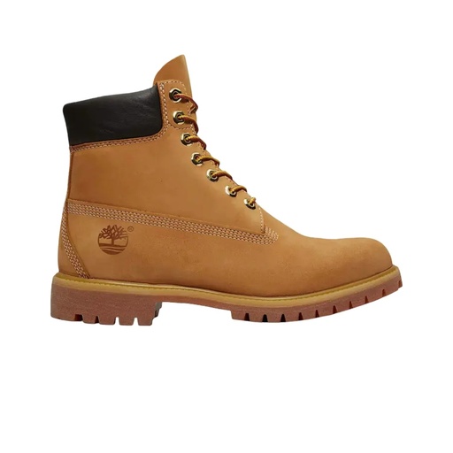 Bota