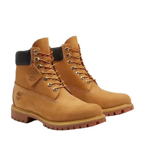 Bota
