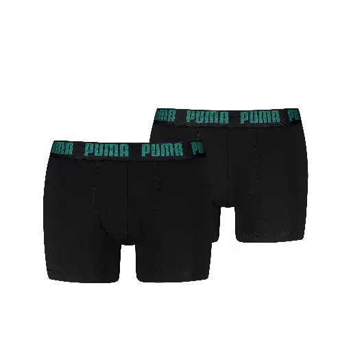 Boxer