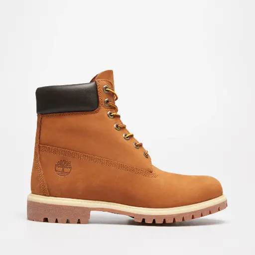 Bota