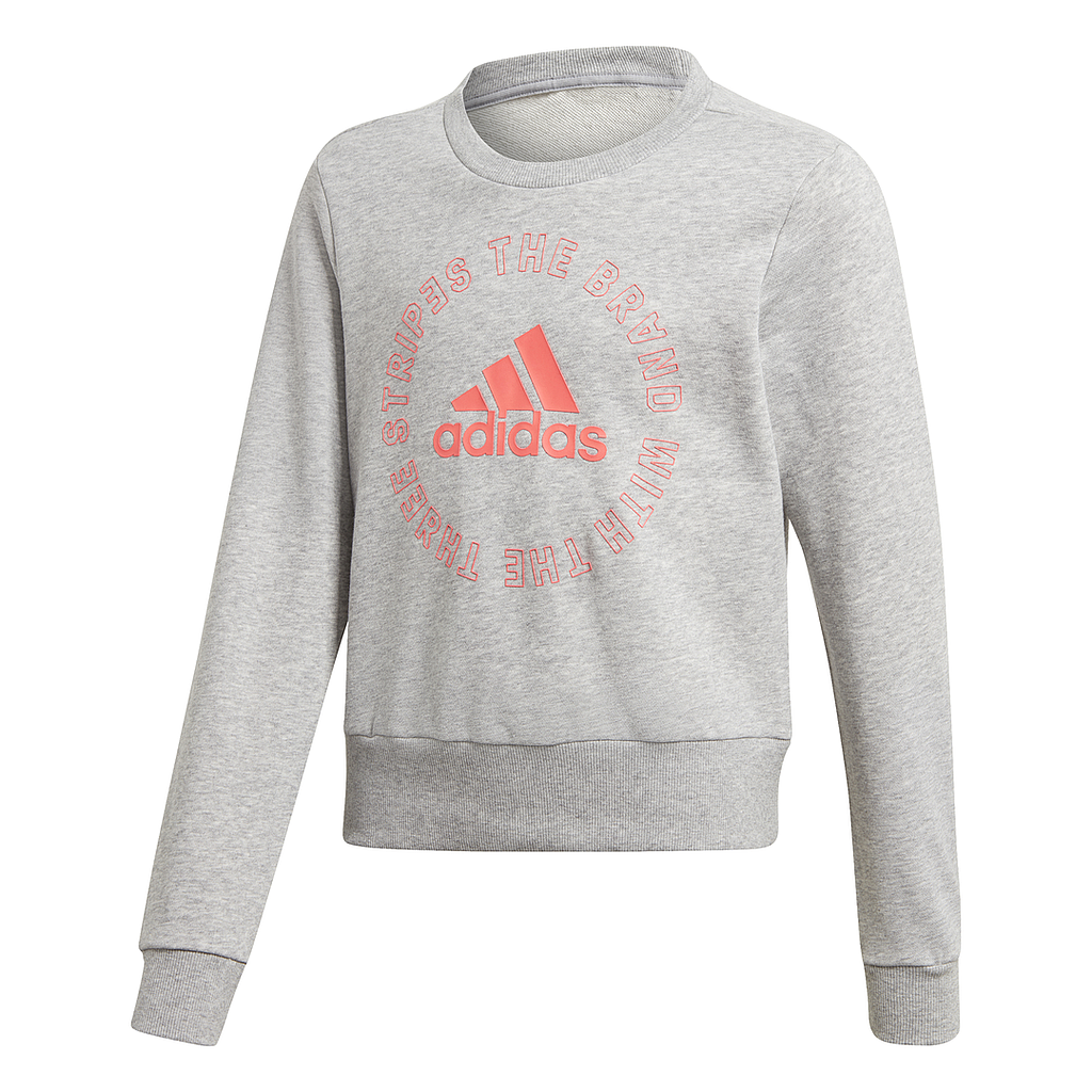 Sudadera