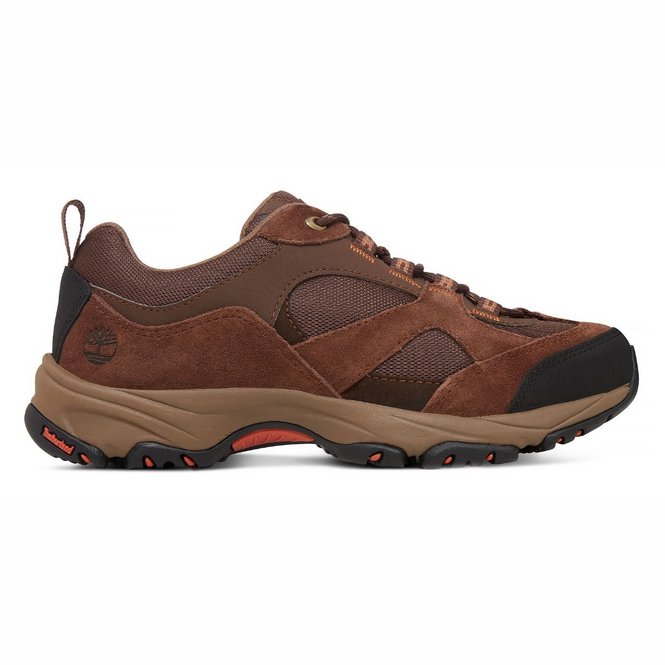 Zapatillas
