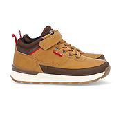 Bota