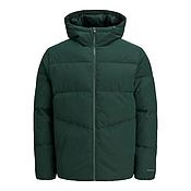 Chaqueta